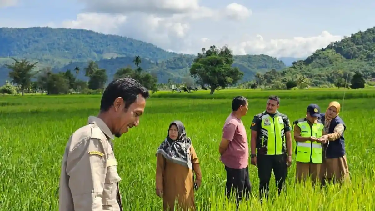 Tanggapi Keluhan Petani, Babinsa Koramil Kluet Timur Ikut Bergerak Cepat Turun Ke Lapangan