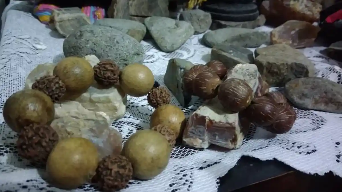 Ternyata Biji Ganitri dan Kalapa Ratu Berfungsi Untuk Kesehatan Lho, Ini Manfaatnya