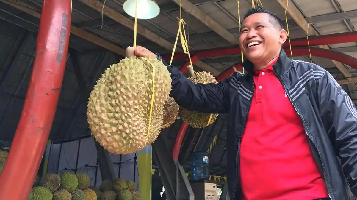 Durian Monti Jumbo Seberat 12,4 Kilogram Sedot Perhatian Pengunjung Festival Durian Gunungpati