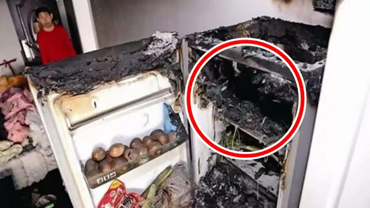BAHAYA, Jika Nekat Simpan 4 Benda Ini di dalam Kulkas, Siap-siap Kulkas Bisa Sebabkan Ledakan!
