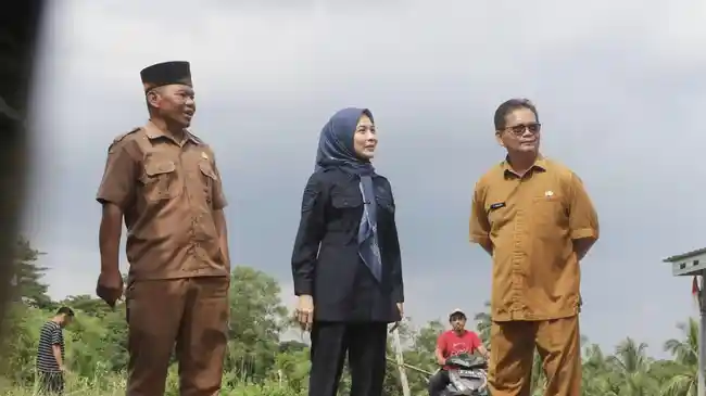 Tribun