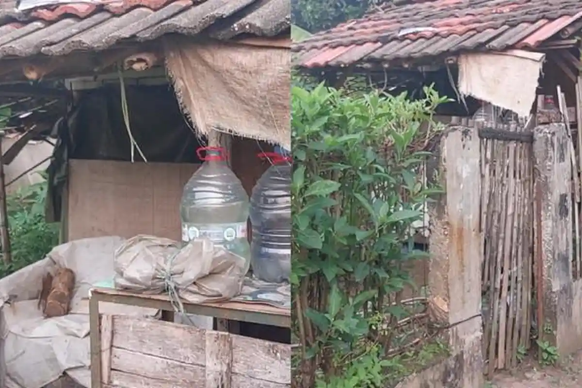 Penampakan Gubuk Tempat Kakek Cabul di Bogor, Pantas Tak Langsung Ketahuan Meski di Pinggir Jalan