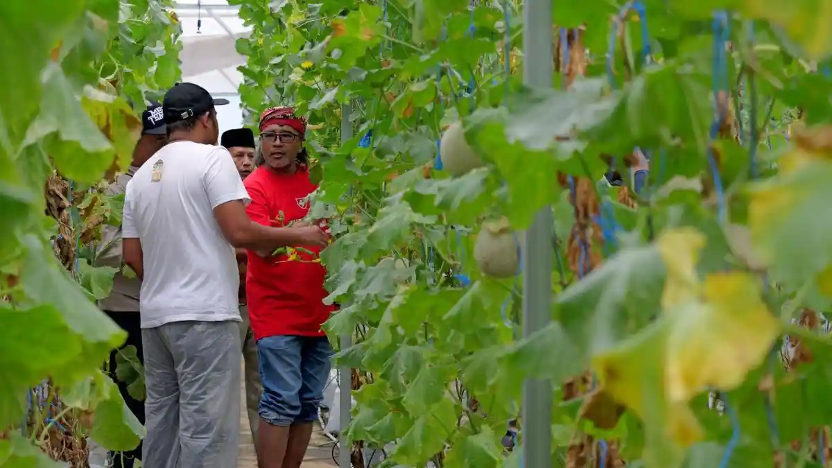 Bupati Agus Gondrong Dorong Petani Milenial Jadi Penyangga Diversifikasi Produk Unggulan