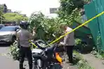 Ini Identitas Driver Ojol yang Meninggal Tertimpa Pohon Tumbang di Jalan Kapten A Rivai Palembang