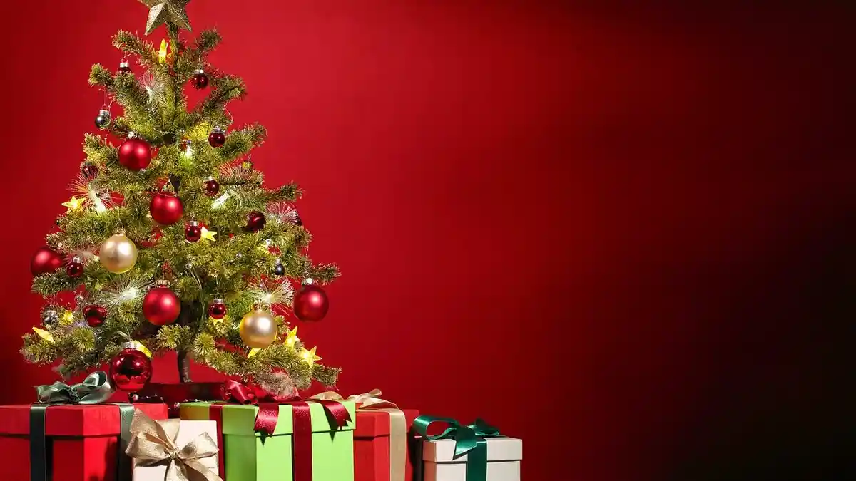 7 Arti Mimpi Pohon, Bermimpi Pohon Natal Pertanda Waktunya Menghabiskan Waktu bersama Keluarga