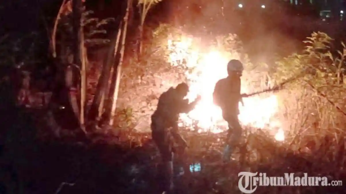 Lahan Kosong di Dalam Kampus Universitas Madura Terbakar, Tak Ada Korban Jiwa Akibat Kejadian Itu