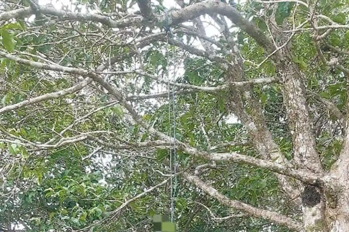 Polisi Ungkap Dugaan Motif Warga Kupang Akhiri Hidup di Pohon Jambu Air