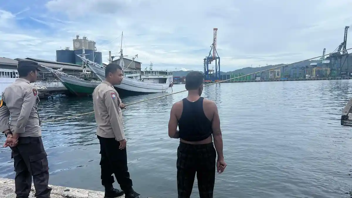 Buaya Kembali Muncul di Perairan Bitung, Sempat Gigit Hewan Anjing Milik Warga Pulau Lembeh