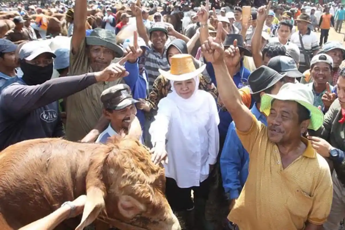 Berkunjung ke Pasar Hewan, Khofifah Perhatikan Peternak dan Keberlangsungan Sapi Lokal