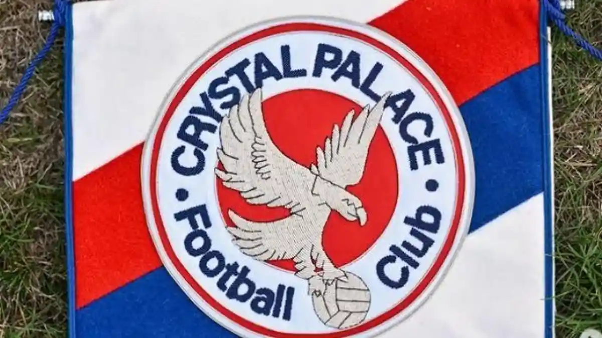 Prediksi Skor Crystal Palace vs Newcastle United, Head to Head di ...