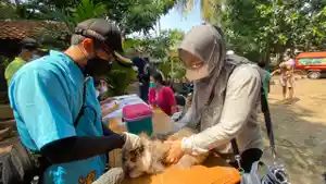 wartakota/vaksinasi-rabies-kucing-dan-anjing-gratis-si-jakpus.jpg