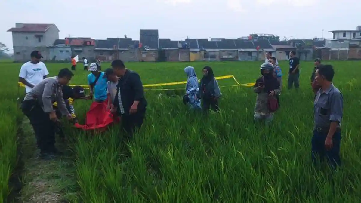 Mayat Ditemukan di Pematang Sawah di Rancaekek Kabupaten Bandung ...