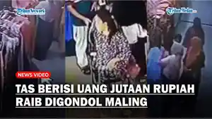 VIRAL-Tas-Berisi-Uang-Jutaan-Rupiah-Raib-Digondol-Maling-di-Sebuah-Mal-Wajah-Pelaku-Terekam-CCTV.jpg