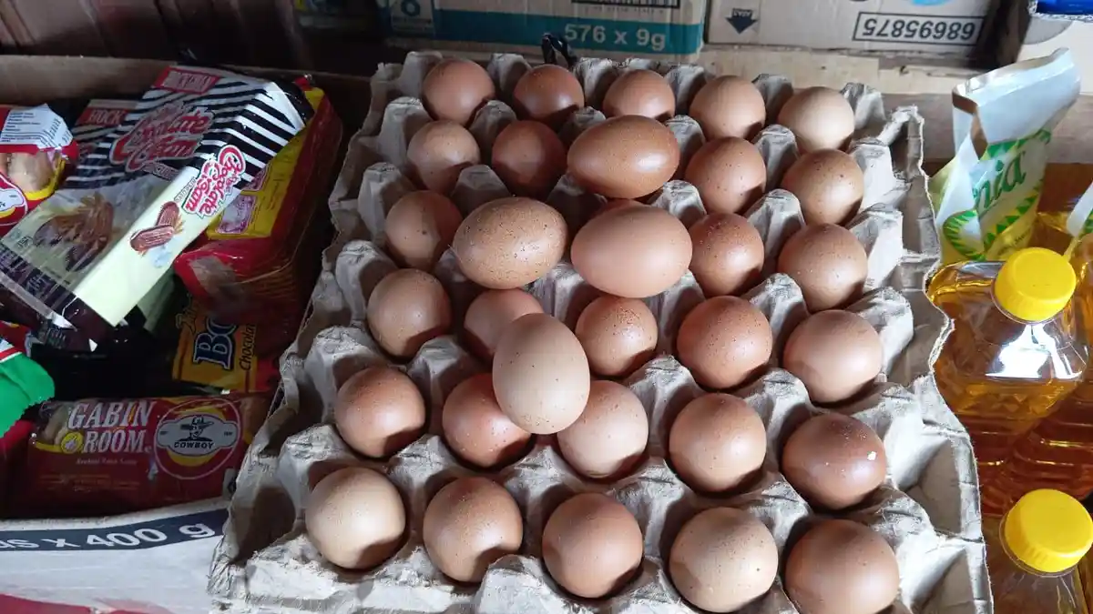 Harga Telur Ayam di Maluku Tenggara Merangkak Naik Rp 65 Per Rak