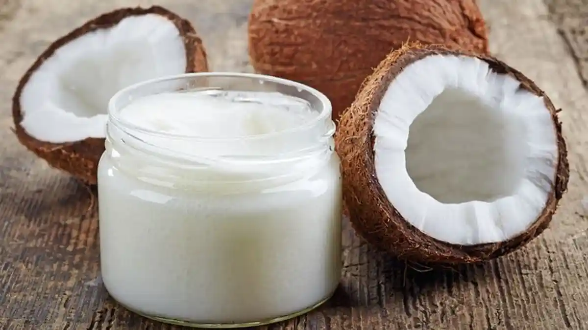 Tips Menyimpan Santan Awet Sampai Satu Bulan Tak Basi, Bisa Stok Banyak di Rumah!