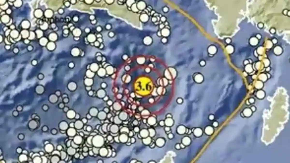 Gempa Terkini di Maluku Siang Ini Rabu 22 April 2026, Berikut Info BMKG