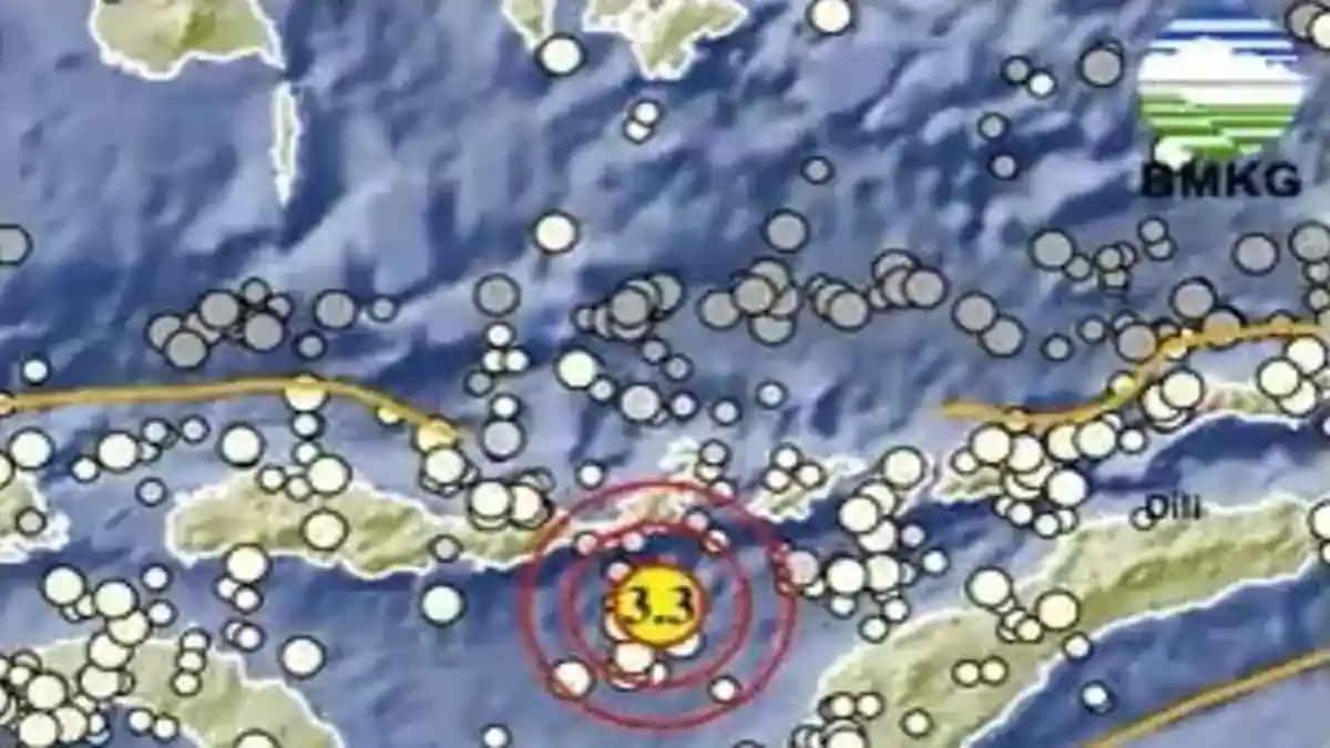 Gempa Terkini Pagi Ini Rabu 28 Juni 2023, Pusat Guncangan Berada di Laut, Info BMKG Magnitudonya
