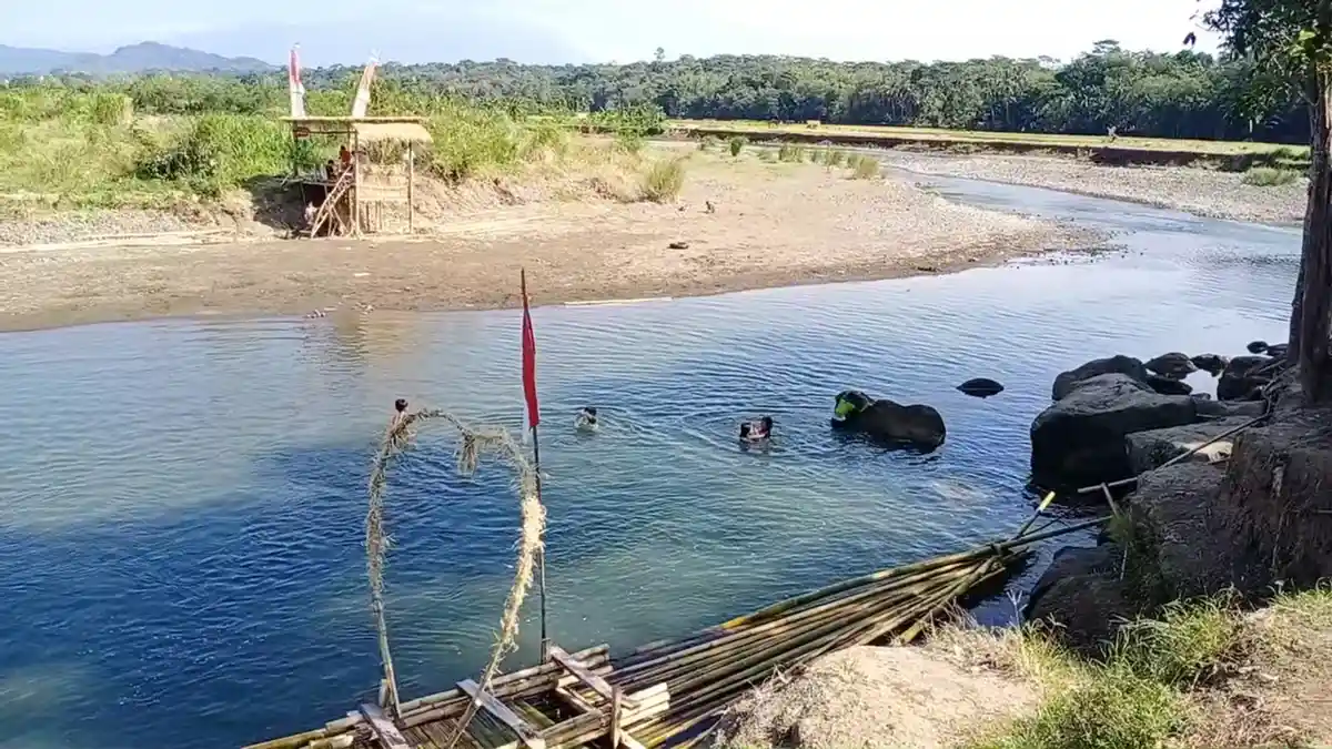 Air Sungai Cisanggarung di Luragung Kuningan Surut, oleh Pemuda Malah Dijadikan Objek Wisata