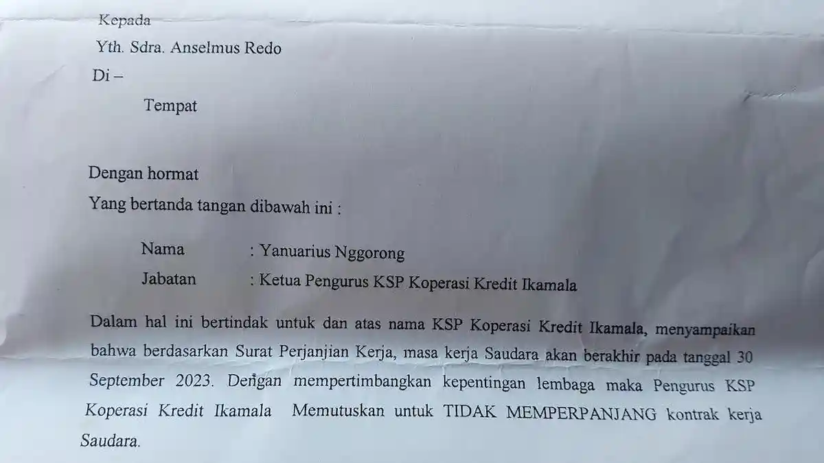 Karyawan Kopdit Ikamala di Flores Timur Merasa Dipecat Sepihak