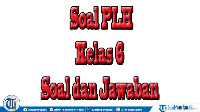 Tribun
