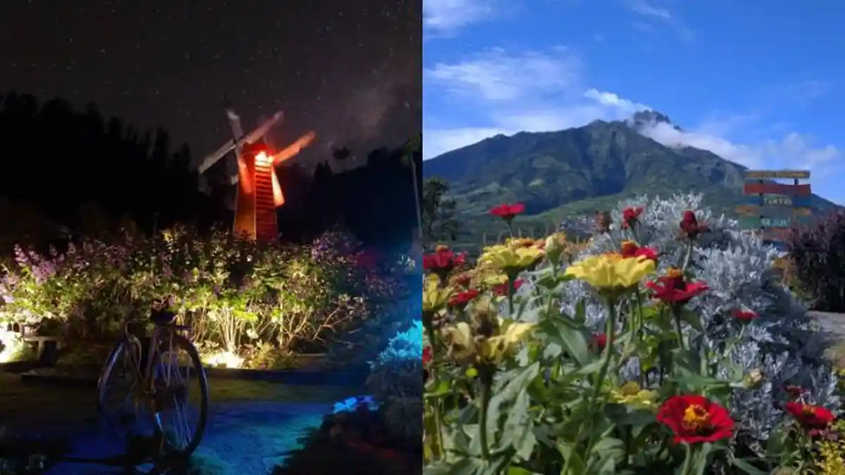 Boyolali Jateng Punya Wisata Bunga Sesejuk Ini, Ada Kincir Anginnya, Cuma Sejam dari Klaten