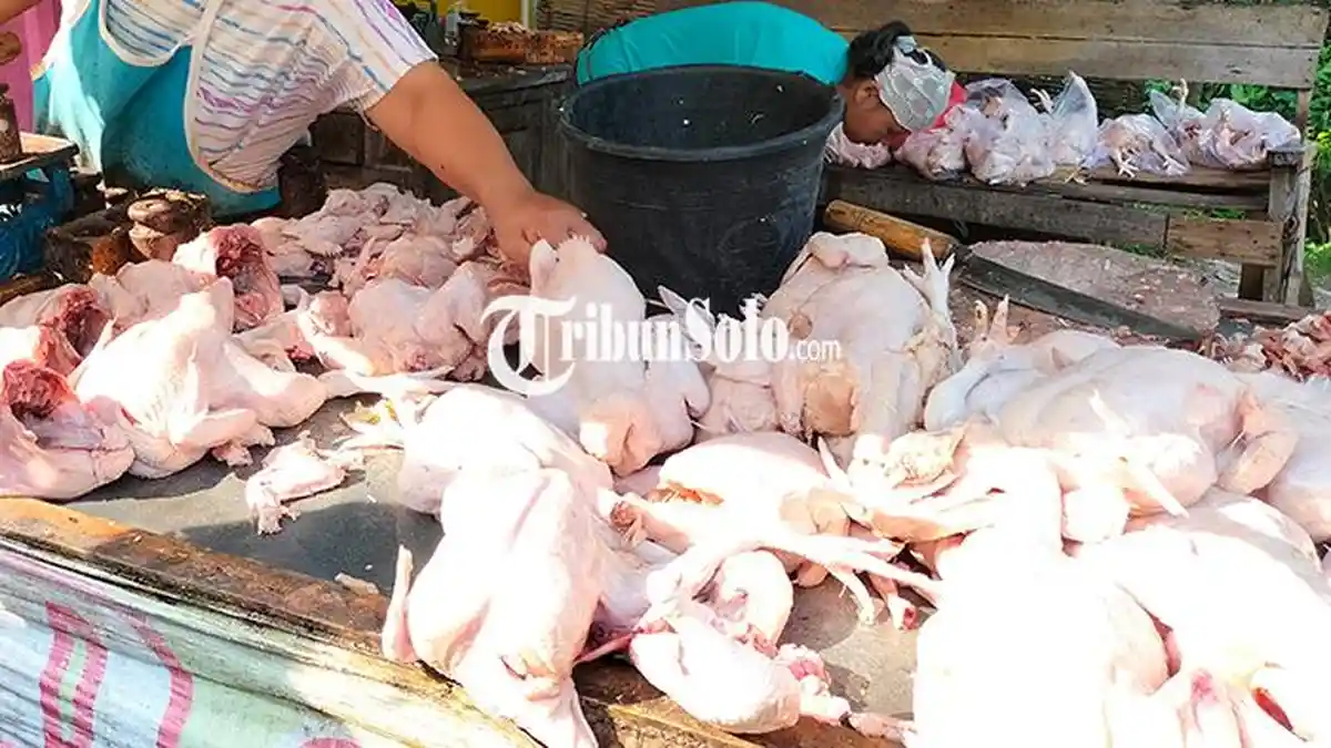 Harga Daging Ayam Rp40 Ribu/Kg di Pasar Pengging Boyolali, Pembeli 'Terpaksa' Pilih Ceker dan Sayap