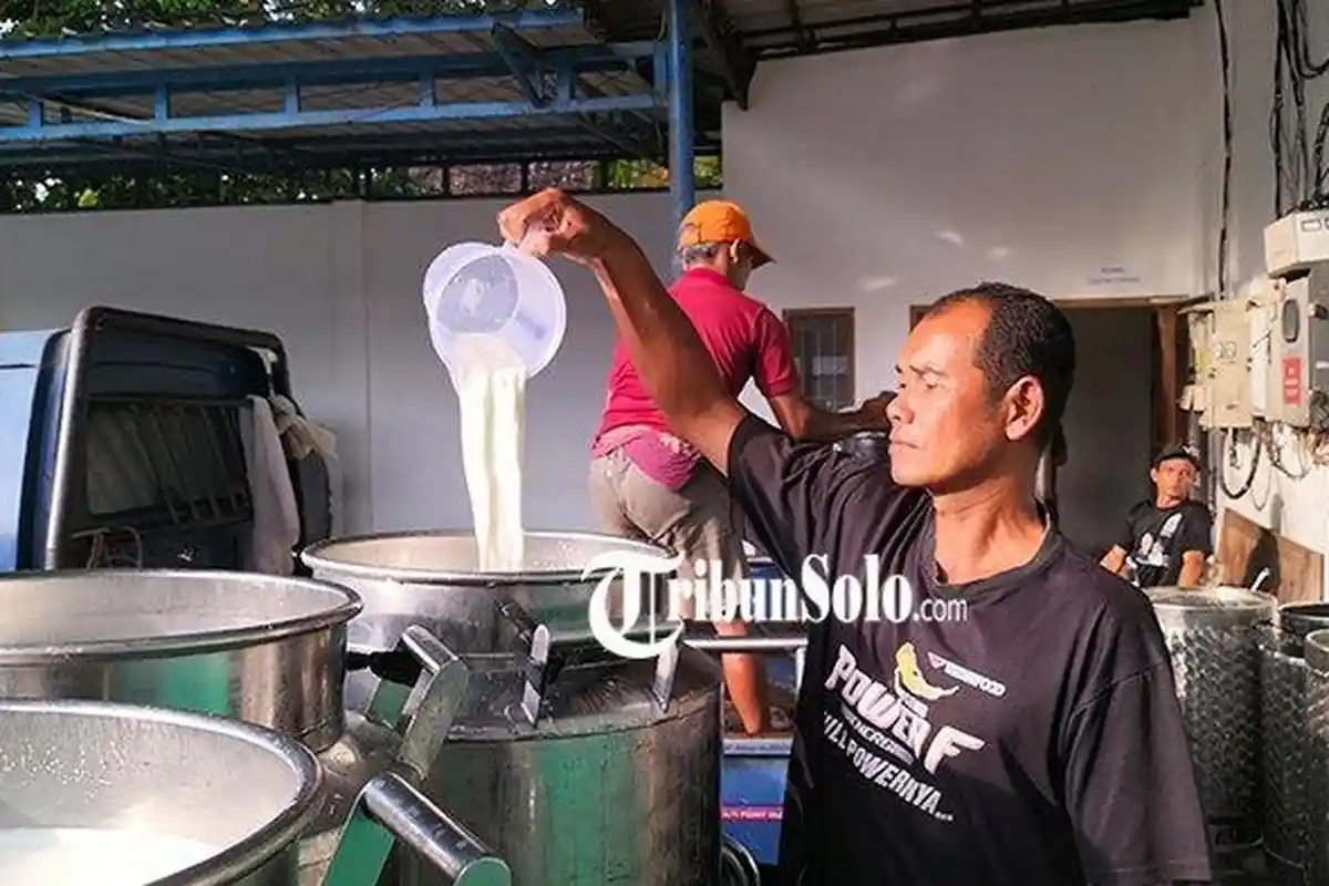 Pramono Lega Usaha Susunya Diselamatkan Pemkab, Tetap Bayar Pajak Rp670 Juta? 1300 Peternak Berharap