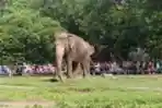 Warga Memadati Taman Margasatwa Ragunan
