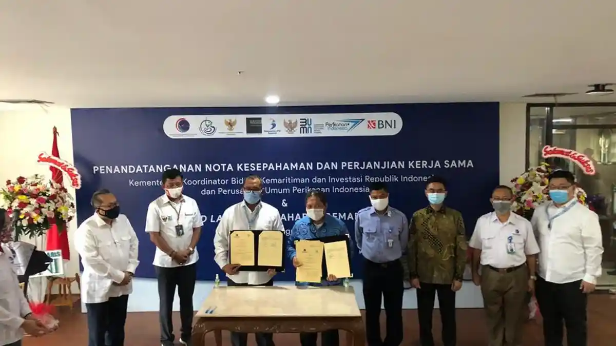 Putra Kalbar, Aditya Pradewo Launching Gemarikan.id, Ciptakan UMKM Pada Produk Kelautan Perikanan