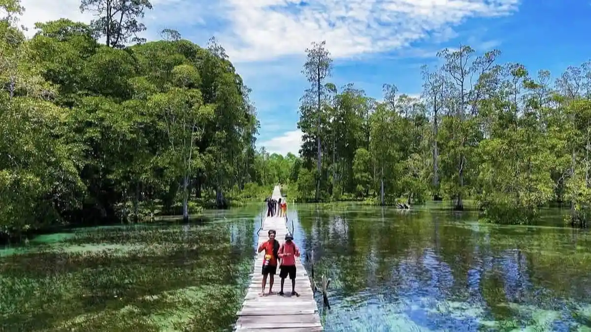 Ubli Primadona Wisata Baru Halmahera Timur, Pantai Jernih dan Mangrove Jadi Daya Tarik