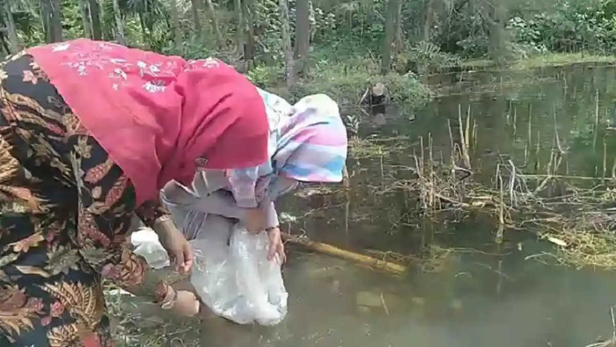 BUMG Air Pinang Tebar Bibit Ikan Nila di Kolam Alami
