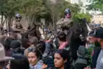 Kampus di AS Memanas, Polisi Tangkap Mahasiswa Pro Palestina