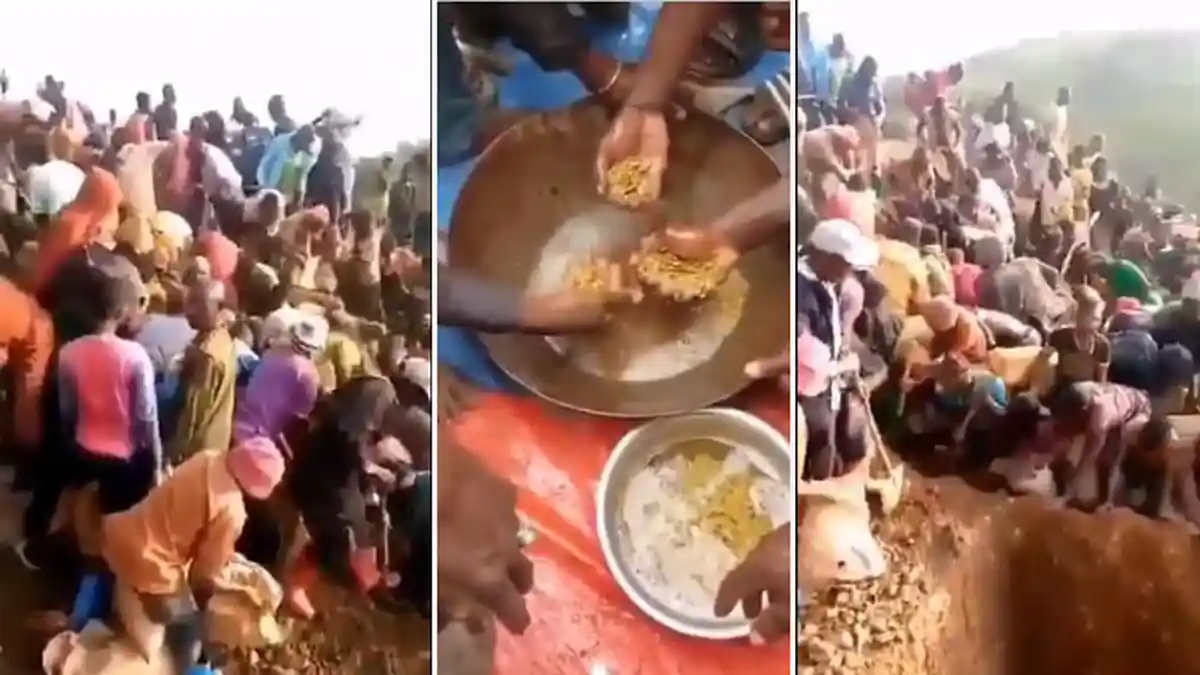 Cerita Warga Ramai-ramai Gali Tanah Berkandungan Emas, Videonya Viral Kemana-mana