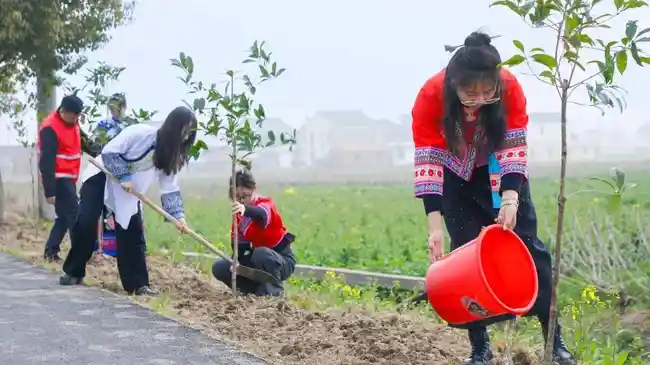 Belajar dari China, Bagaimana Mengubah Gurun Jadi Hutan? Deforestasi di Indonesia