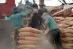 Pertumbuhan Penjualan Semen Domestik