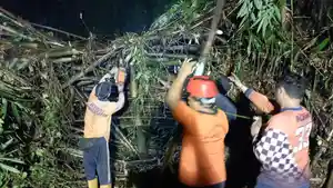 Suasana-Mencekam-Rida-Sempat-Panik-dan-Gemetar-Saat-Mobil-Tertimpa-Rumpun-Bambu.jpg