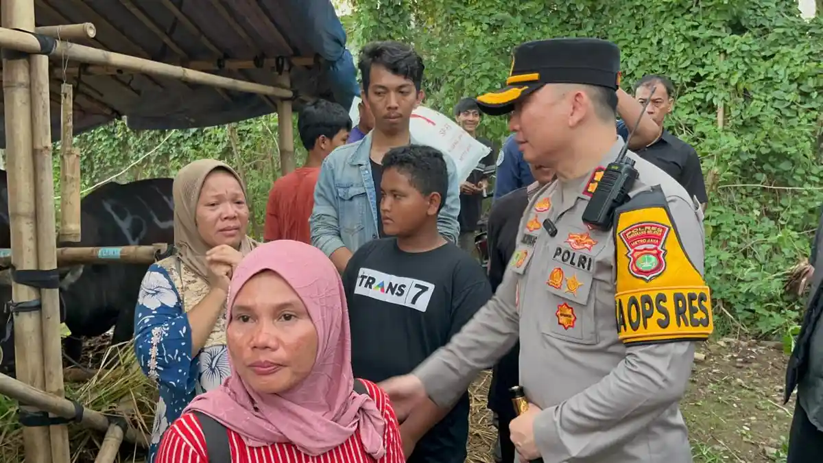 Sewa Lahan dari Ormas GRIB Jaya, Ratusan Sapi Terancam Terusir karena Terjebak Konflik Aset Negara