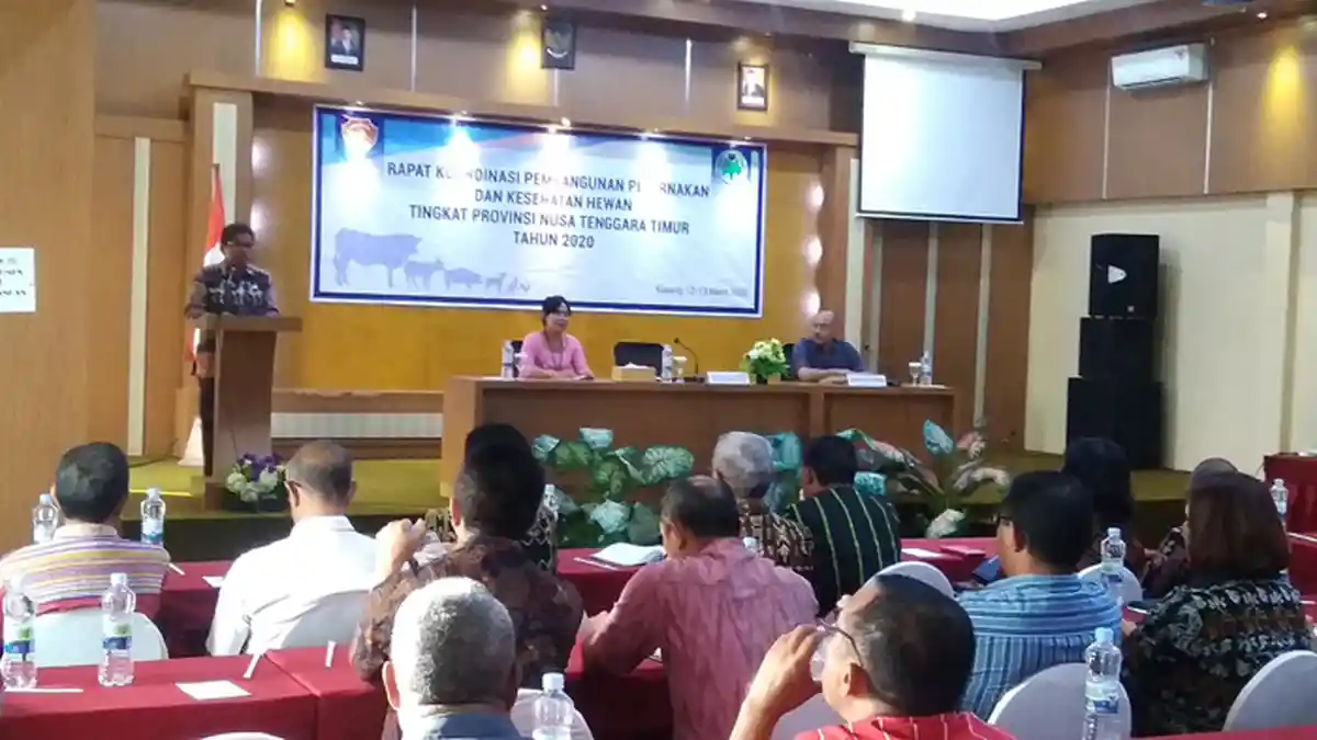 Disnak NTT Gelar Rakor Pembangunan Peternakan dan Keswan