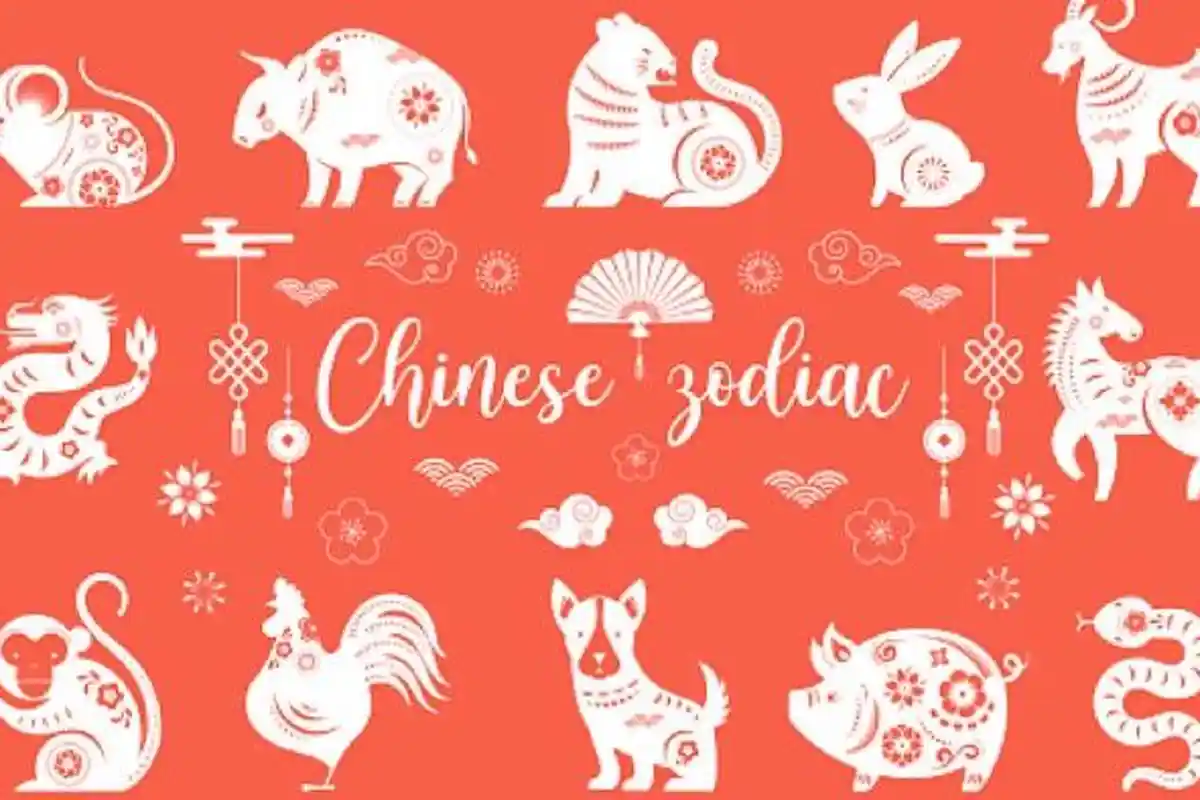 RAMALAN SHIO Awal Pekan Senin 24 Oktober 2022: Shio Macan, Shio Kelinci, Shio Kerbau, Shio Anjing