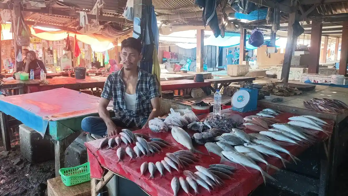 Sulitnya Menangkap Ikan di Bone, Nelayan harus Berlayar hingga Perairan Selayar