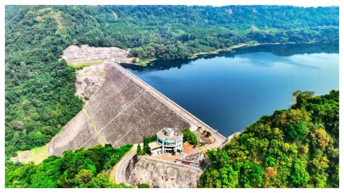 PLN Menjadi Satu-satunya Perusahaan Utilitas asal Indonesia Masuk ...
