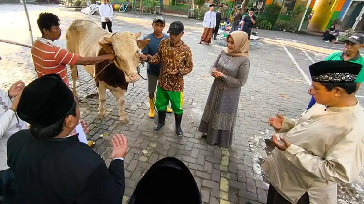 Tertib! Bupati Klaten Sri Mulyani Minta Masyarakat Klaten Bijak Mengolah Limbah Hasil Hewan Kurban