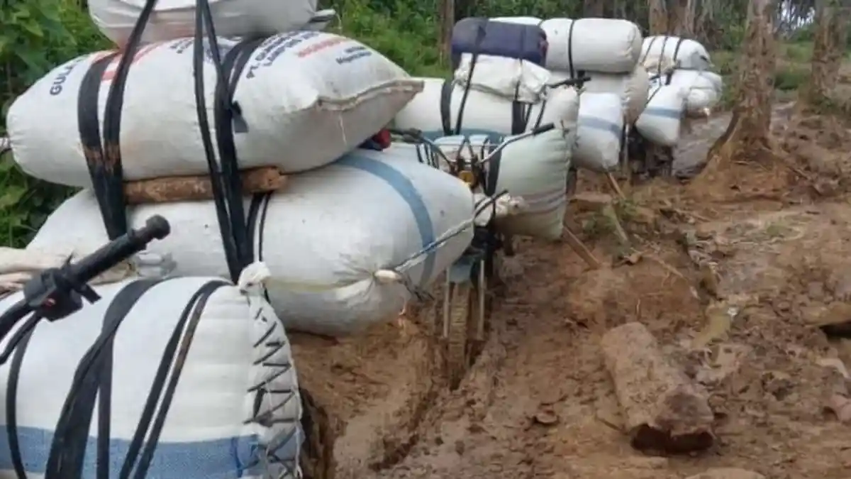 Warga Pesisir Barat Tandu Orang Sakit ke Puskesmas, Tempuh Jalan Berlumpur 7 Jam