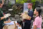 UPDATE! 28.068 dari 84.369 Ekor Anjing di Denpasar Telah Divaksin Rabies