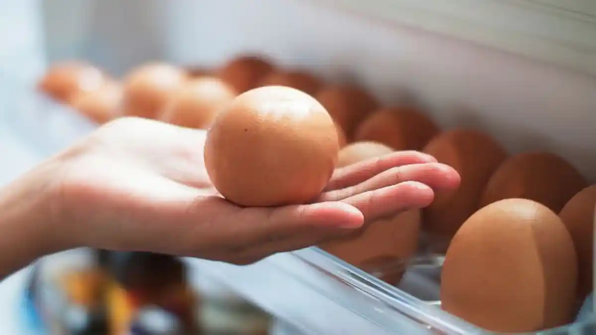 Mentah atau Matang, Begini Cara Simpan Telur di Dalam Kulkas, Jangan Sampai Keliru!