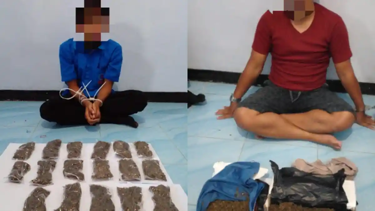 Sorong Selatan dan Maybrat Jadi Target Penjualan Ganja, Ada Apa?