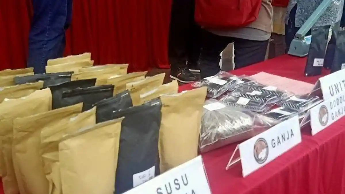 Warga Aceh Olah Ganja Jadi Susu Cokelat & Dodol, Efeknya Bikin Teler dan Muntah