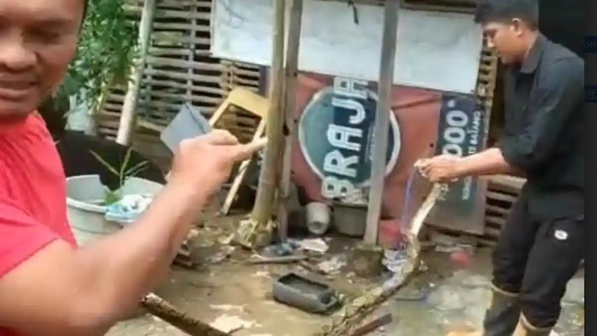Heboh, Ular Piton Kelaparan Masuk Rumah Cari Mangsa Panikkan Warga, Petugas Pemadam Sigap Menangkap
