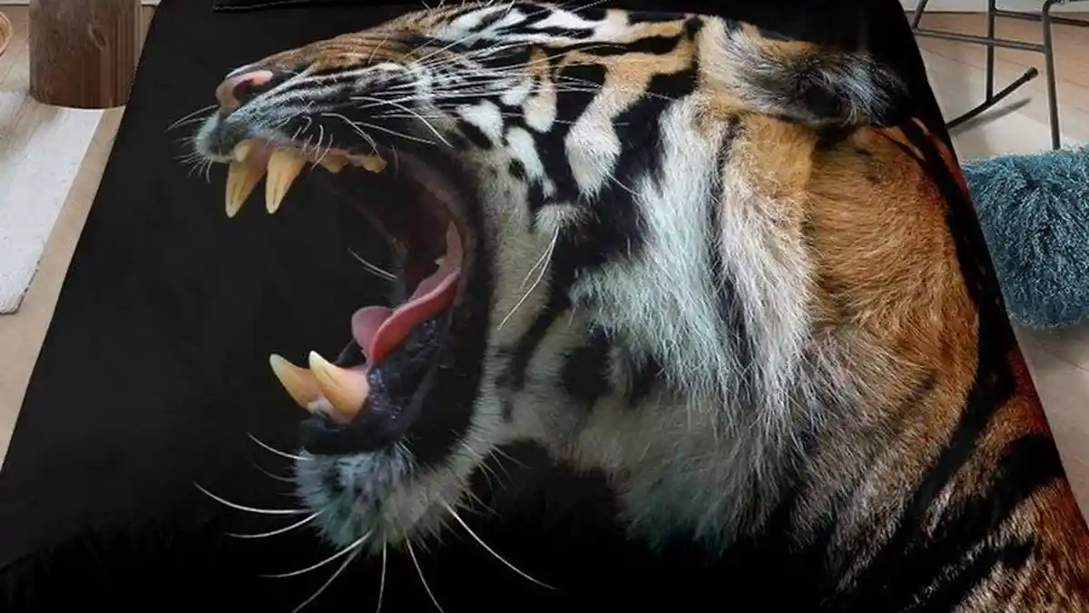 Tahun Macan 2022: 3 SHIO Ini Diprediksi Melankolis dan Baperan