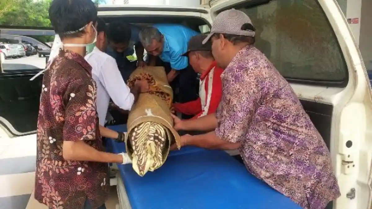 Pemuda Ini Tewas Dibacok Pelaku yang Diduga Penderita Gangguan Jiwa